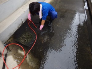 雨水桝の詰まり修繕 神戸市 長田区　