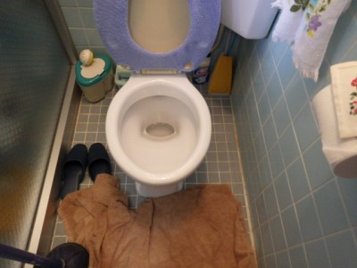 詰まり 修繕後 トイレ 排水管 トラブラン