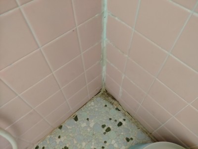 ビフォー 現場調査 浴室 床 壁 タイル 劣化 神戸市 トラブラン