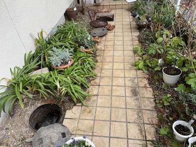 コンクリート桝 ひび割れ 水漏れ 交換 植物の撤去前 神戸市 トラブラン