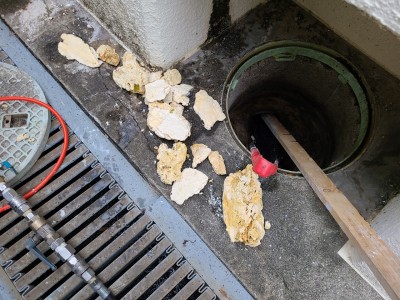 桝 トイレ 詰まり 配管 汚物 除去 作業 排水桝 神戸市 トラブラン