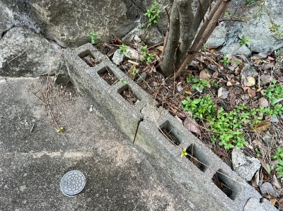 コンクリート桝 塩ビ桝 交換工事 漏水 劣化 底割れ 調査 神戸市 トラブラン