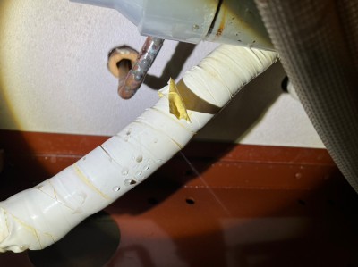 漏水箇所 原因 給湯管 天井 被害 保険対応 神戸市 トラブラン 葛原設備工業