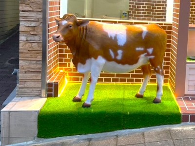 店舗 ディスプレイ 牛 お家 人工芝 固定 接着剤塗布 異人館 神戸市 トラブラン