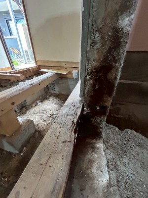 内窓 助成 浴室 窓 省エネ効果 リノベ リフォーム 申請 神戸市 トラブラン